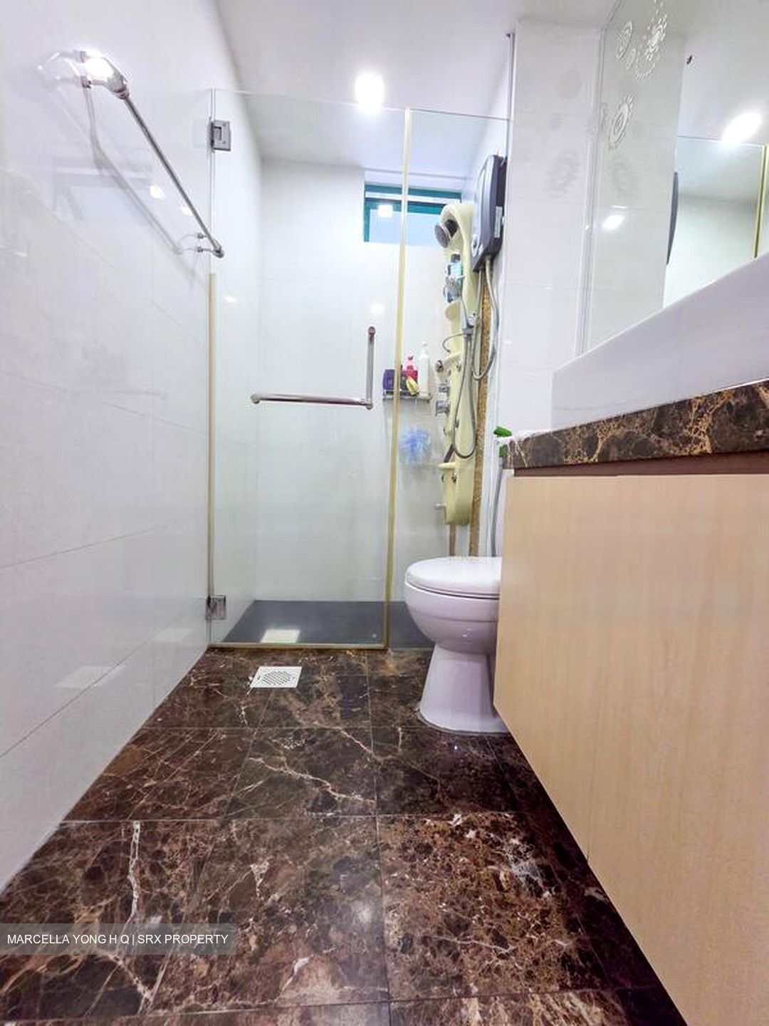 Fortune Park (D19), Condominium #480970091